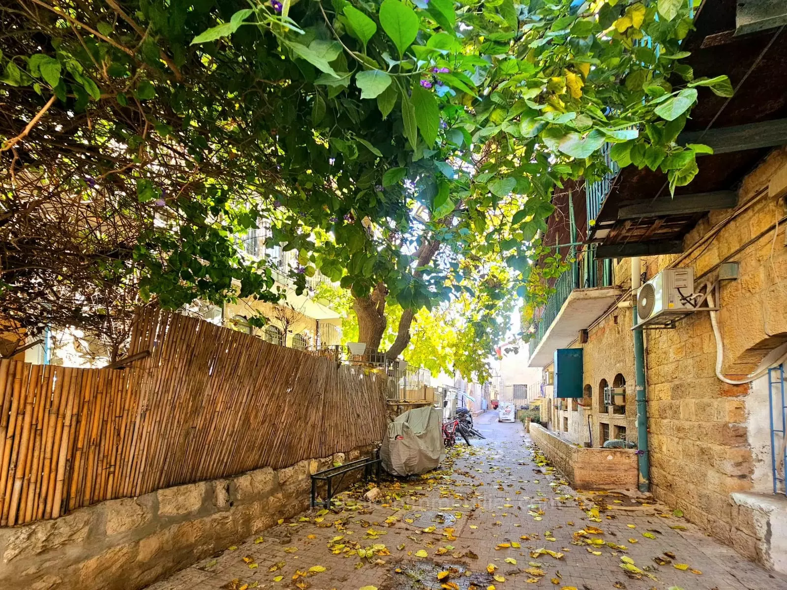 דירת 3 חדרים מלאה אופי – קומה אחרונה עם גג בבעלות